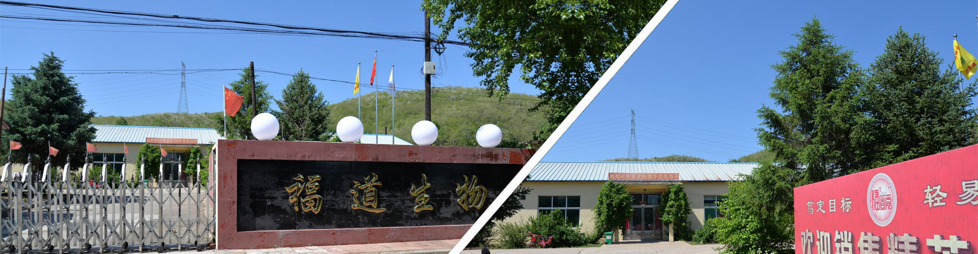 關(guān)于我們